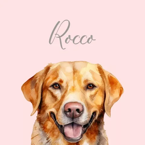 retrato mascota