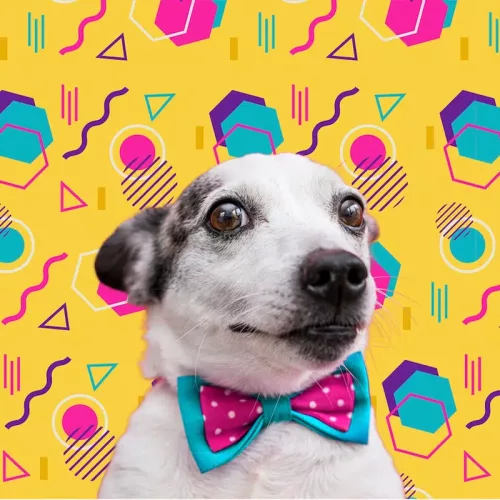 perro pop art